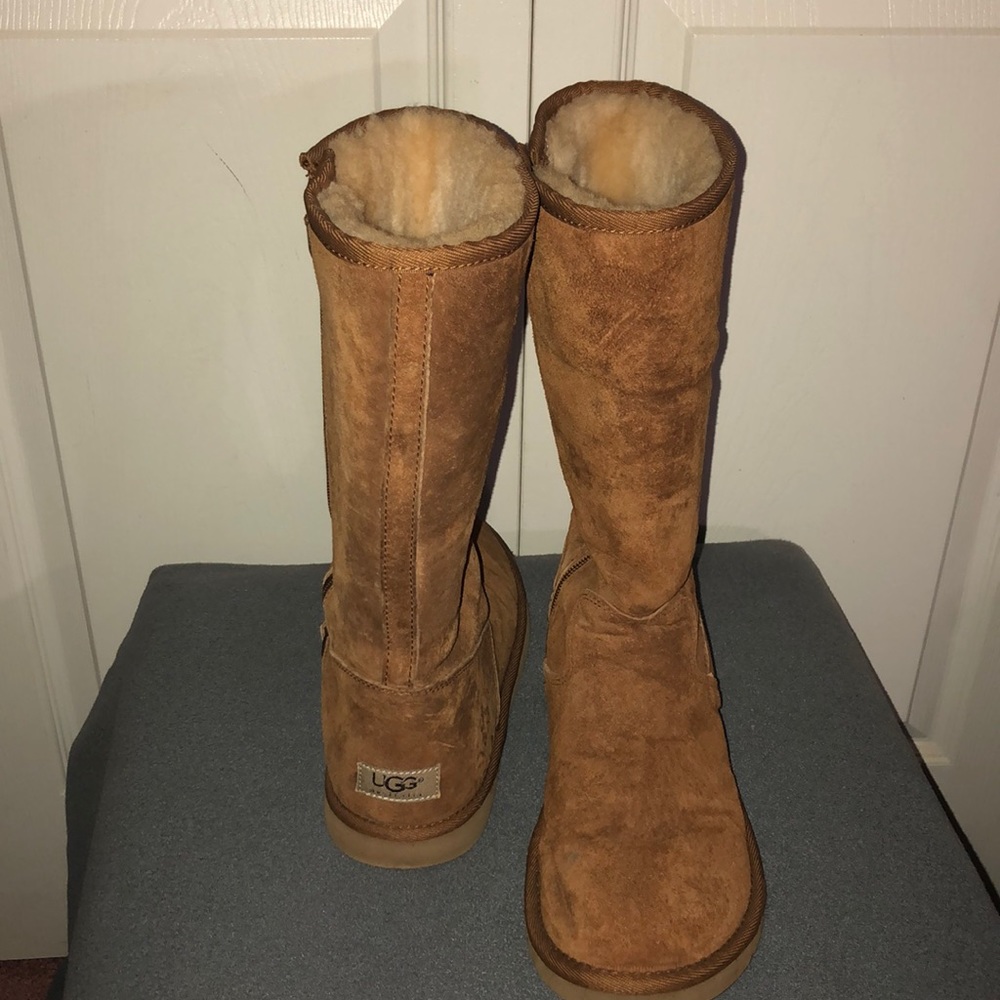 Tall chestnut Ugg
